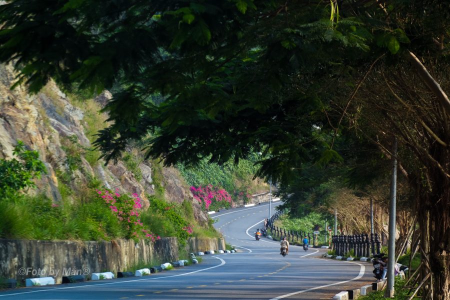 Check in Đà Nẵng